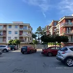 Srebrna Mewa *