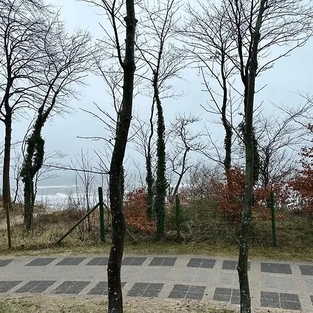 Srebrna Mewa *
