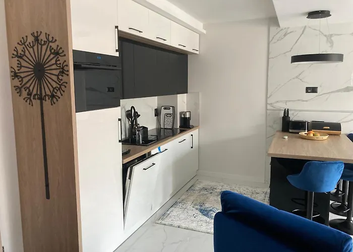 Srebrna Mewa アパート レバル