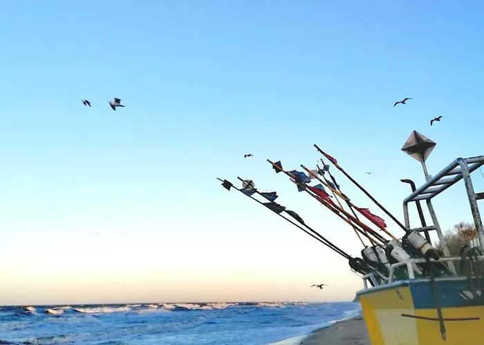 Srebrna Mewa レバル